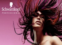 Logotipi blagovnih znamk Schwarzkopf in L'Oreal
